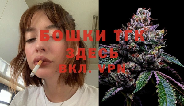 дживик Баксан