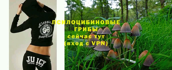 дживик Баксан