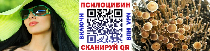 МЕГА зеркало Петровск Галлюциногенные грибы GOLDEN TEACHER