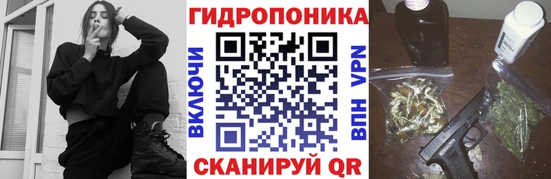 купить закладку  Петровск  МАРИХУАНА семена 
